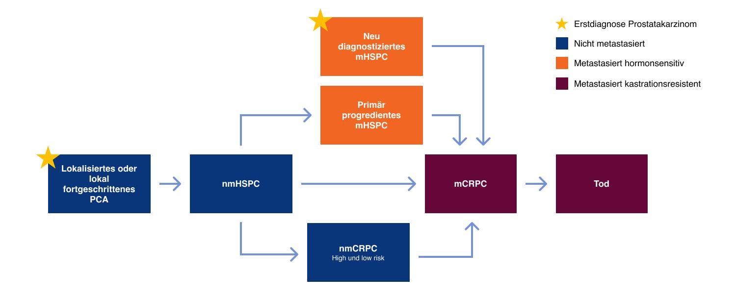 Grafik Progression des Prostatakarzinoms