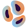small sized icon representing the Oncology area of interest