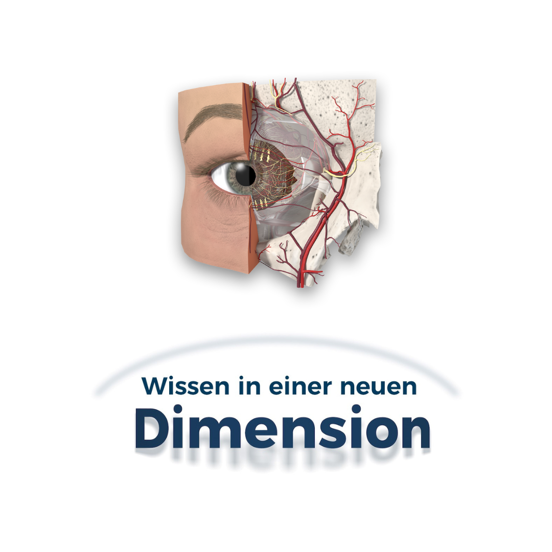 Wissen_Dimension_Auge_Perspektive_2