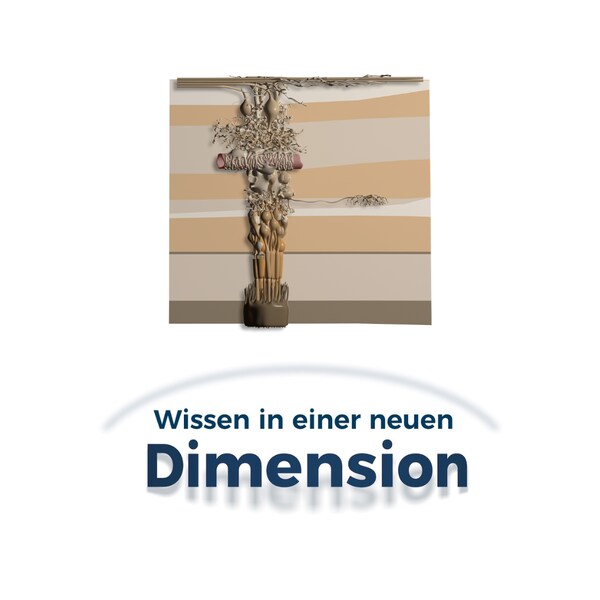 Wissen_Dimension_Netzhaut_3