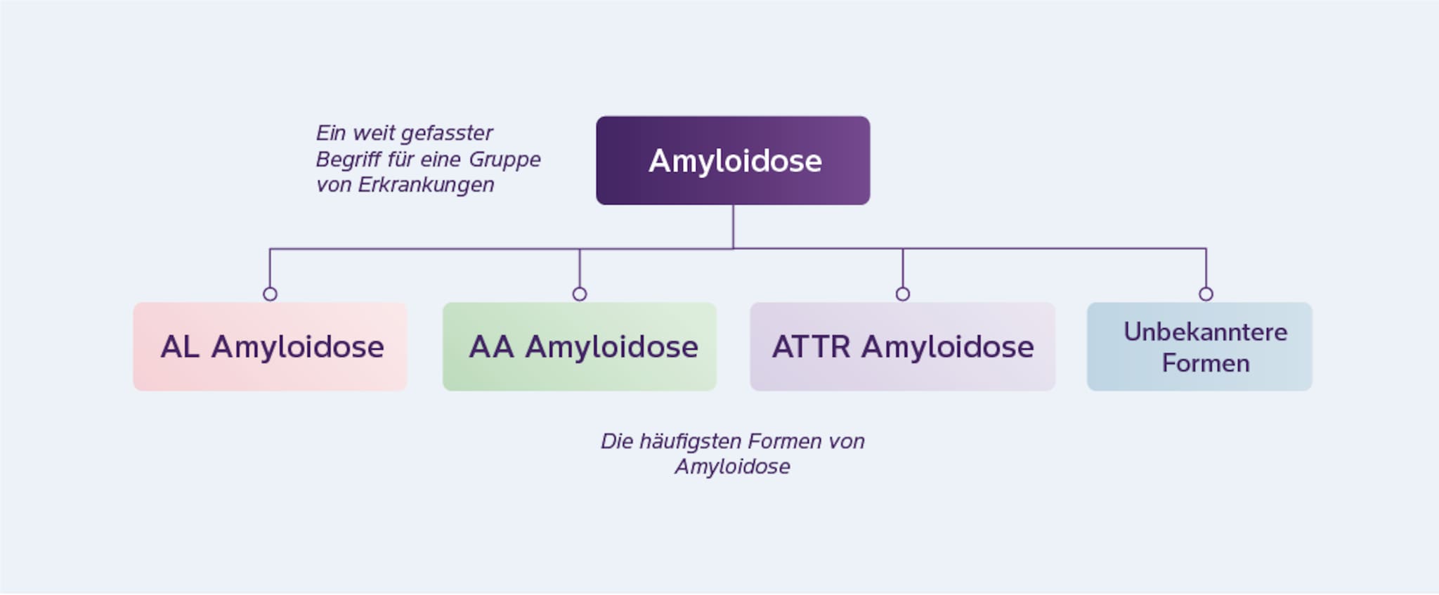 Formen der Amyloidose Grafik zur Veranschaulichung der häufigsten Formern der Amyloidose