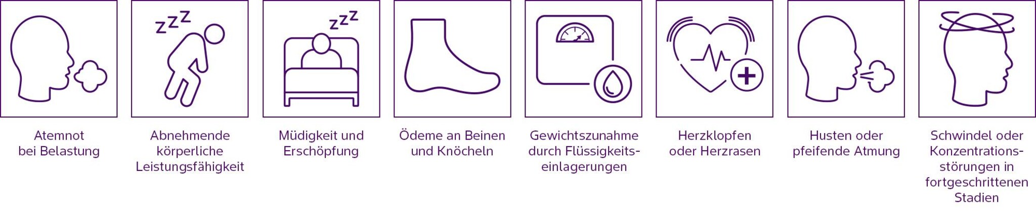 HFpEF Icons Symptome