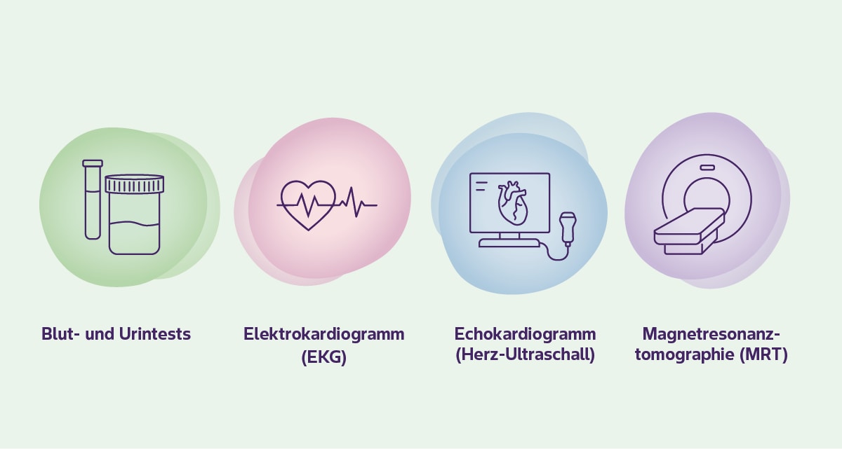 ATTR-CM erkennen Grafiken Diagnose ATTR-CM