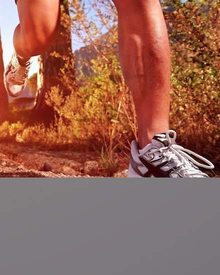 preview radiologische sportverletzungen